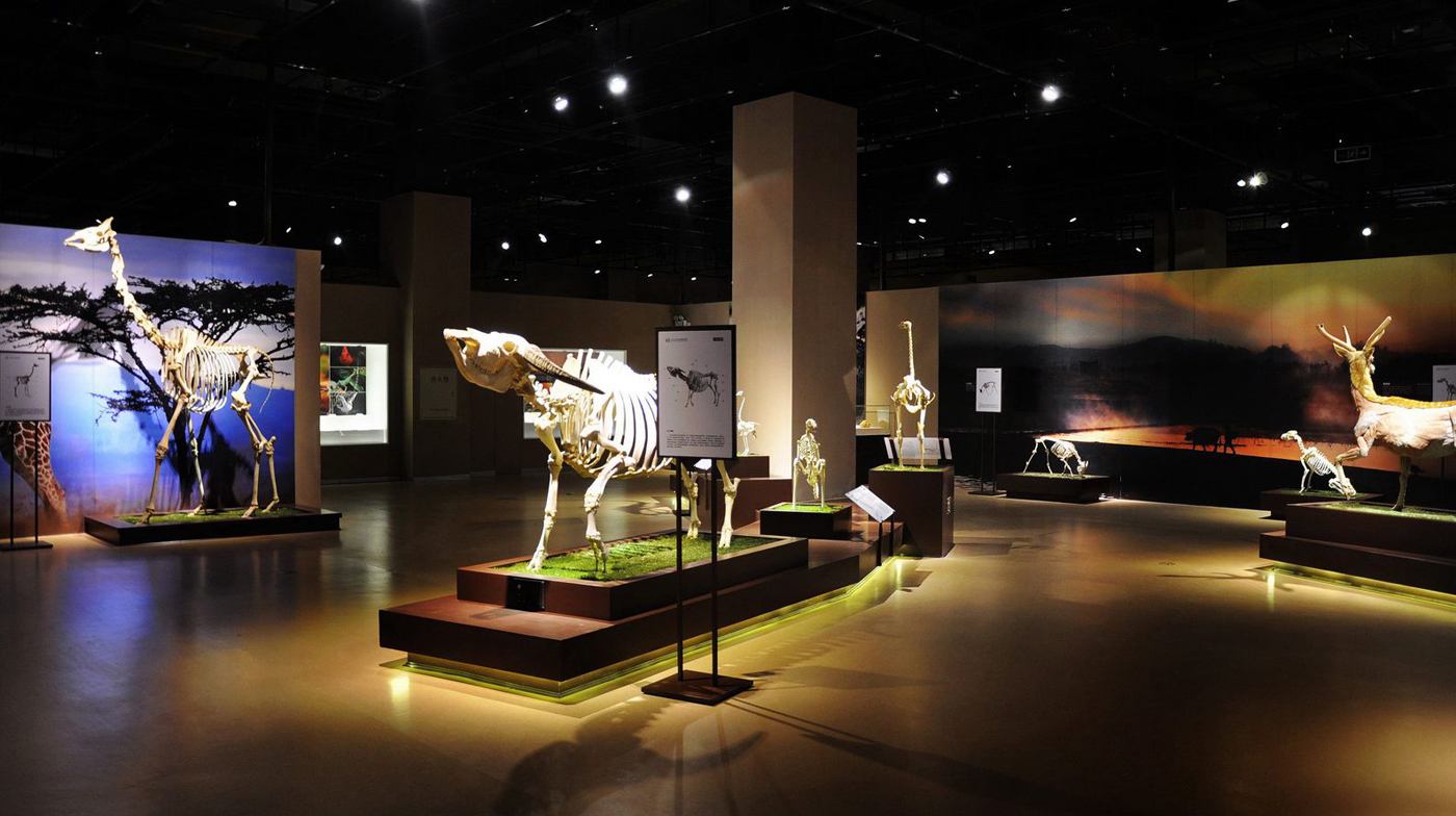 展館設(shè)計公司